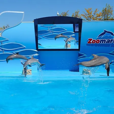 Concorde Ocean Dreams شقة *